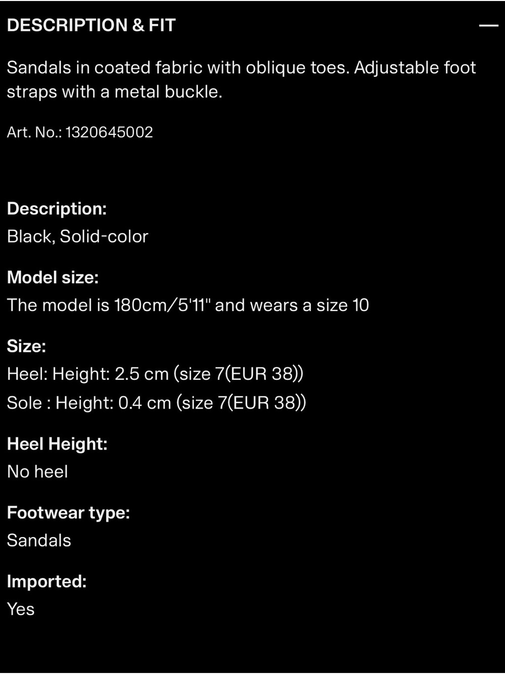 H&M Black Double-Strap Buckle Sandals - Picture 6 of 6